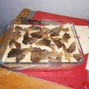 thumb_724e06765226198840c16ae5