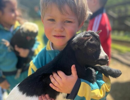 Las niñas y los niños del aula de 3 años disfrutaron con los animales y la naturaleza